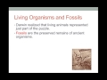 Darwin's Theory of Evolution Concepts