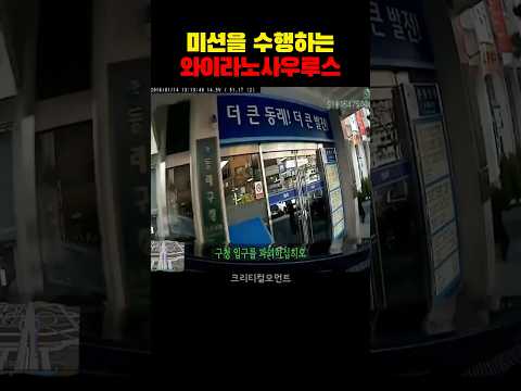 미션을 수행하는 와이라노사우루스
