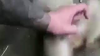 Нельзя доверять дорогое