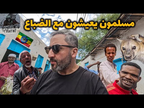 مسلمون الحبشة الذين يعيشون مع الضباع 🇪🇹