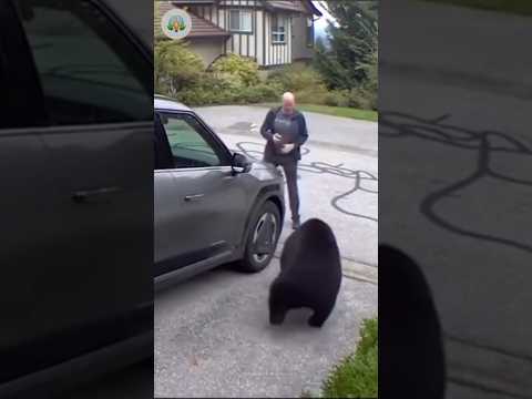 Man Finds Bear in His Garage 😱 #viral #shorts #bear #wildlife #animals #oso #viralvideo #animales