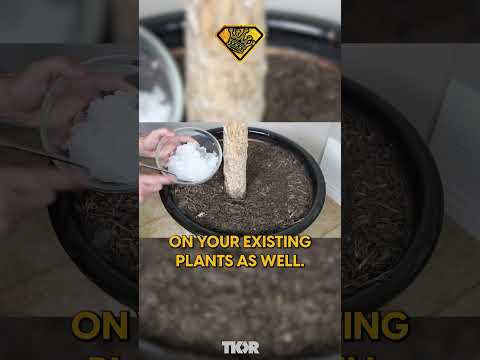 🌿🚀 Turn Diapers into Plant Savers! DIY Hydrogel Trick for Lush, Healthy Gardens! 💦