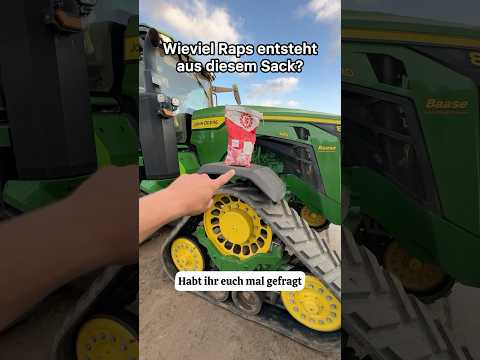 Wieviel wird aus einer Tüte Raps Saatgut? #raps #landwirtschaft
