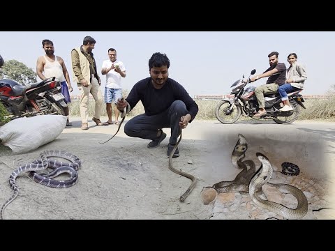 अदभुत मंजर नाग नागिन सांप के साथ करैत सांप गिर पड़ा टंकी के अंदर जिसे देख सबलोग दंग रह जाएंगे#funny