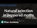 Understanding Evolution and Natural Selection