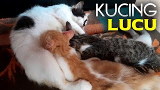 ASLI LAHAP BANGET SAMPE BERSUARA