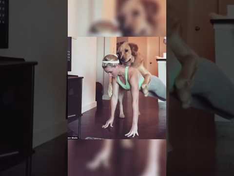 Los lassen! 1/2 #shortvideo #ad #storytime #dog #hund #tiere #liebe#shorts #midnights #unglaublich