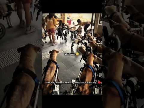 #zarooratrishta đđģ