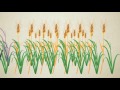 Understanding Mutation Breeding