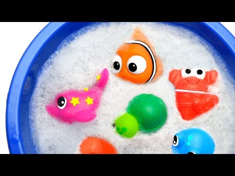 Learn Zoo Animal and Sea Animals Names - Shark Video and Toys For Kids