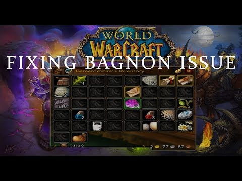 world of warcraft bagnon