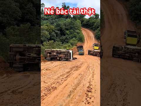 Nể bác tài này quá!