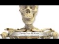 Fossilization and Fossil Records