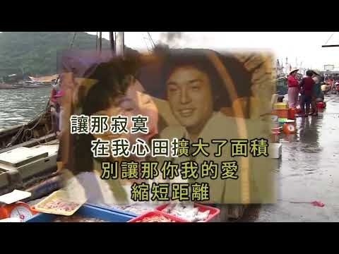 歌曲：相思爬上心底(鳳飛飛) Pr2024版 自製KTV三行(含以上)字幕