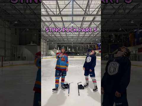 Can you take this shot? #stingpuck #stingpong #sting #ouch #challenge #hockey #hockeyplayer #nhl