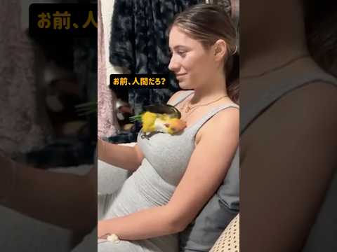 カメラに映った怪しすぎる動物たち🤣🤣