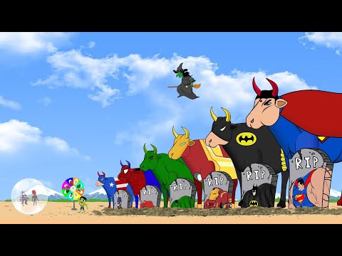 Evolution of the superhero buffalo : HULK,BATMAN Rescue SPIDERMAN,CAPTAIN  from the mysterious  ball