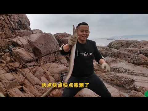 【阿向趕海】每個月就一天能抽的深坑變魚窩 與潮水賽跑抓不停 光一條魚就值200