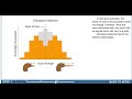 Selection Types in Evolutionary Biology