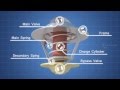 Cooling System Components and Functions
