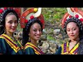 Impact of European Colonization on Indigenous Cultures