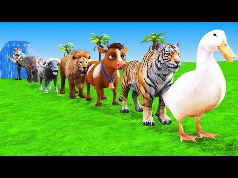 Long Slide Game With Cow Elephant Gorilla Hippopotamus Tiger - 3d Animal Game - Funny 3d Animals #12