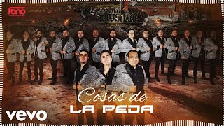 Banda Los Sebastianes De Saúl Plata - Cosas De La Peda (Visualizer)