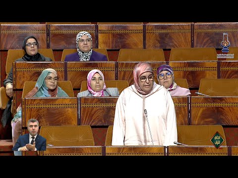 القنصوري:تجريم الاثراء غير المشروع والرشوة الإنتخابية