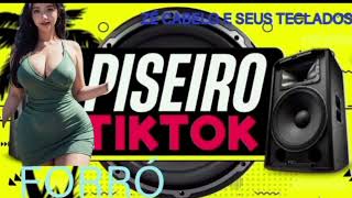 SELEÇÃO TOP PISEIRO PRA PAREDÃO 2025 -PISEIRO 2025 PRA PAREDÃO - TOP PISEIRO 2025 ATUALIZADO