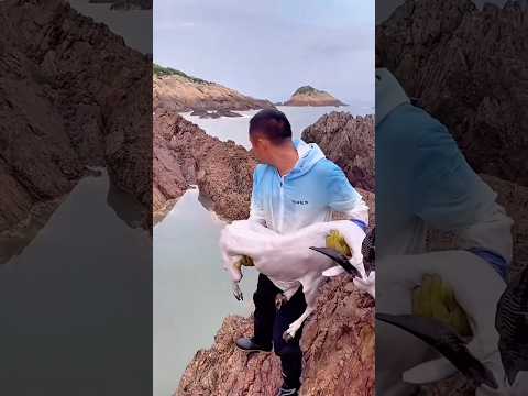 Đây là loài Thủy Quái gì vậy | Riview bắt hải sản
