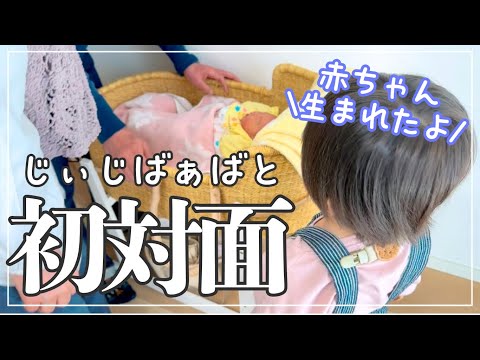 【初対面】じいじとばあばが娘に会いに来てくれました👶🏻
