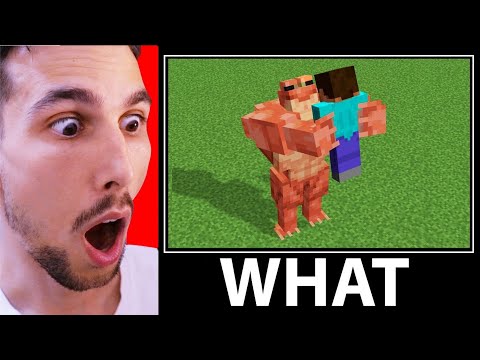 COSE CHE TI FARANNO DIRE IMPOSSIBILE su MINECRAFT!! (What meme 2)