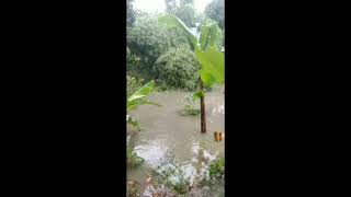 Sorotan 0.55 - 5.55 dari Kondisi sungai Grogolan baru pekalongan