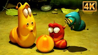 Fly - Larva, Animated Cartoon Video for Kids