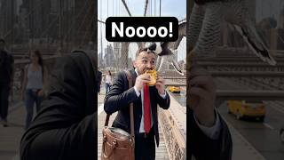 POV: you’re on the Brooklyn Bridge