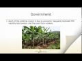 Central America Geography and Politics