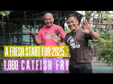 Starting Strong in 2025 : 1,000 Catfish Fry & Fresh Start for My Circular Fish Pond!