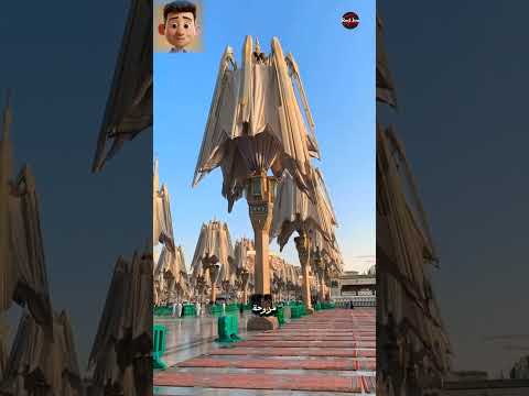 مشروع انفق عليه المليارات