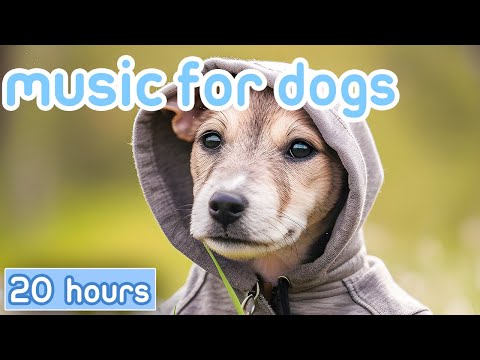 [NO ADS] Music for Dogs: Fast-Acting Dog Relaxation Therapy Sounds!