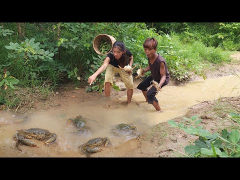 Wow Big Big crab! Catching Crabs from lake and Cooking Soup for lunch