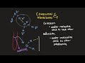 Properties and Behavior of Water