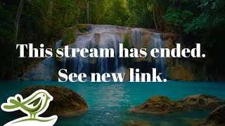 This stream has ended. See new link in description!