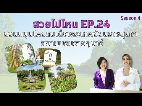 สวยไปไหนSeason4EP.24EP.24สวนสมุนไพรสมเด็จพระเทพรัตนราชสุดาฯส