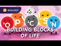 Biological Molecules and Processes