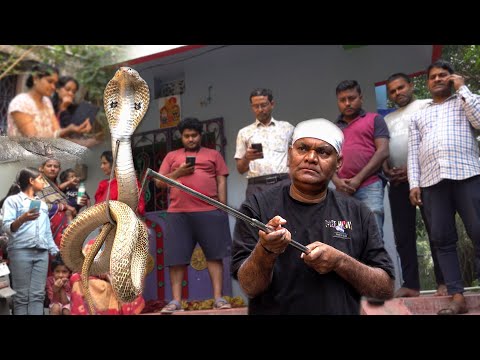 एक विशाल और खतरनाक कोबरा को घर से सुरक्षित बाहर निकाला गया Cobra Snake Rescue