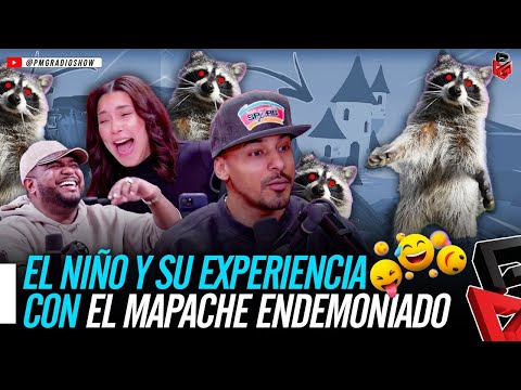 UN ESPIRITU EN FORMA DE MAPACHE | PMG RADIO SHOW