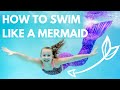 Understanding the Video Tutorial