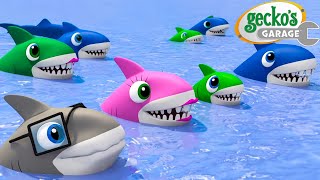 Baby Shark Family Song | Gecko's Garage Songs｜Kids Songs｜Trucks for Kids