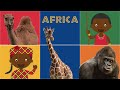 Exploring Africa's Ecosystems and Tribes
