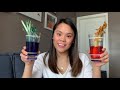 Celery Experiment and Water Transport